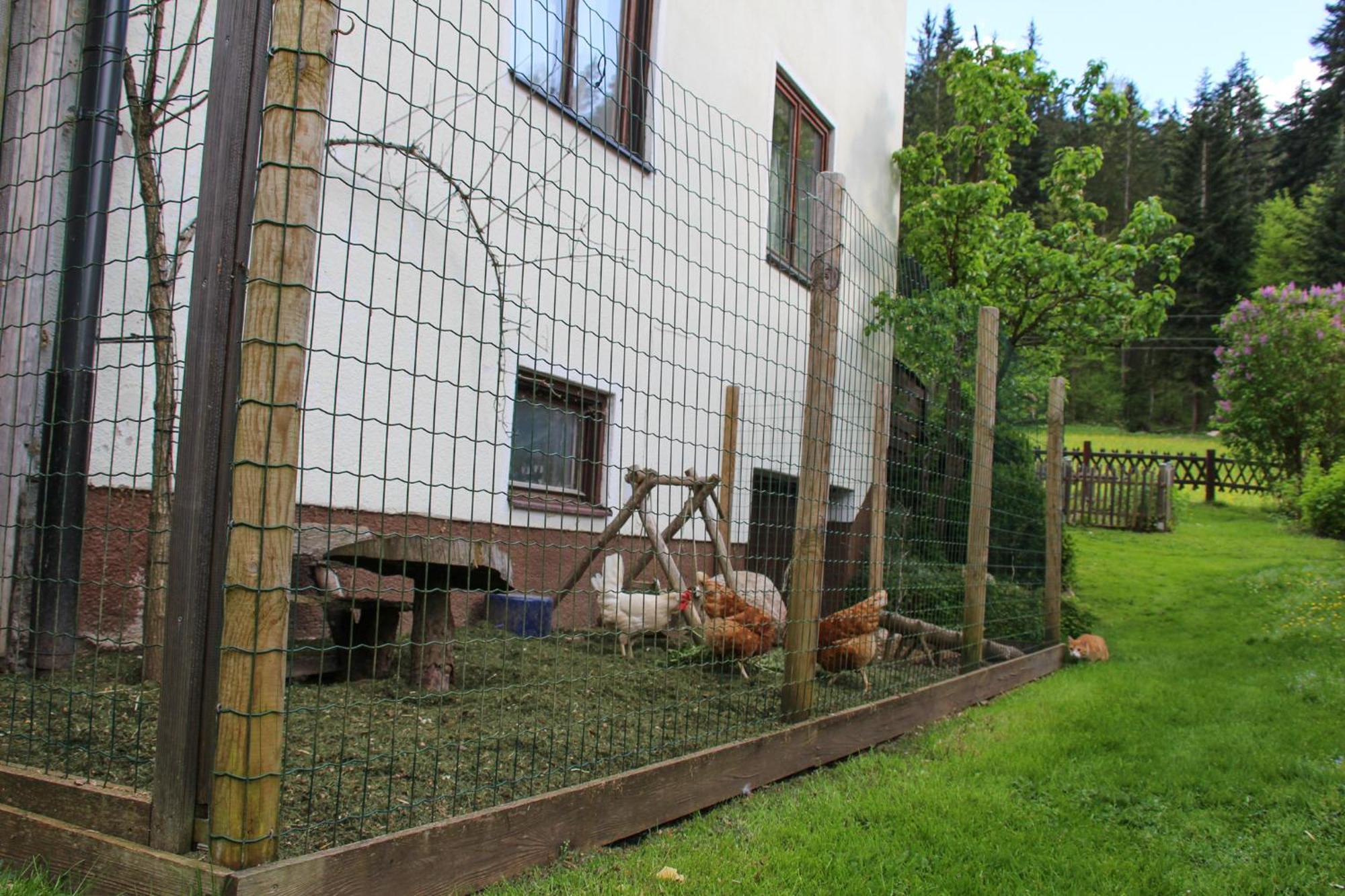 Frieda'S Platzl Apartamento Abtenau Exterior foto